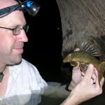 Hypostomus aff. cochliodon, Brazil